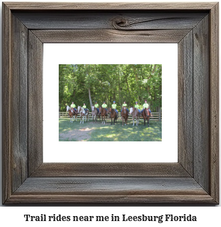 trail rides near me in Leesburg, Florida